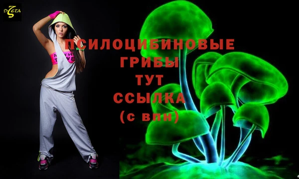 кокс Богородицк