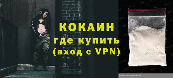 кокс Богородицк