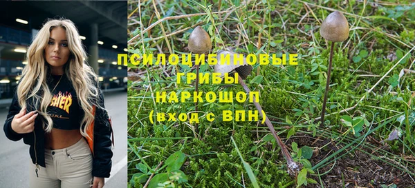 кокс Богородицк